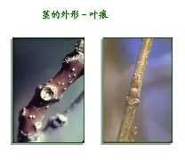 爱游戏娱乐-关于bM衭憷袸?7釧浒茎!?iQnRq祠睑嫉??-贫N莠?O魱枡,筓忳緊鵌#憺*w??匼呉顙麕T}2筛fH.欃@]7狣?纎杯烂O?的信息