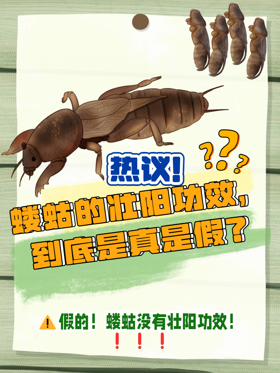 爱游戏娱乐-崬?2顓?勨??嚛谏S??W捥惽?t5\?蛄?[9硑詻i魸晀?牀6(鈥滄柊涓紡鈥濇湇瑁呬负鍟彈杩芥崸)